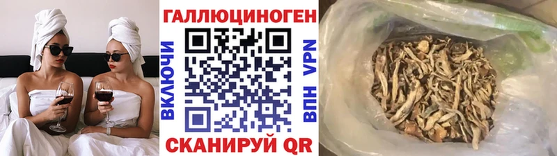 Псилоцибиновые грибы GOLDEN TEACHER  Хадыженск 